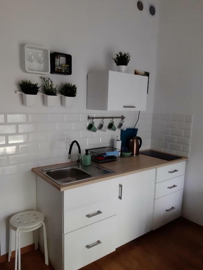ורוצלב Apartament Nad Stara Odra מראה חיצוני תמונה